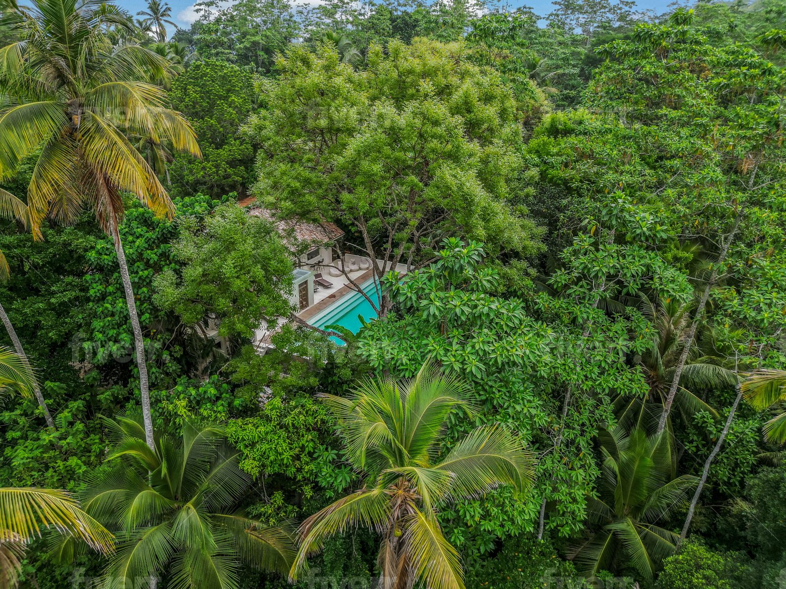 Host Your Retreat: A Sri Lanka Venue Buyout Breakdown 1 Yoga Retreat Venue in Ahangama: DJI 0416 1 scaled